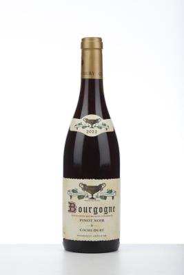 BOURGOGNE PINOT NOIR 2022 - Coche Dury - 1 Bottle