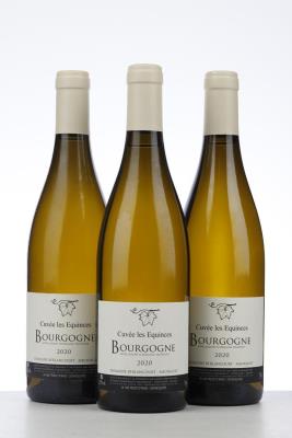 BOURGOGNE BLANC CUVEE DES EQUINCES 2020 - Domaine Berlancourt - 3 Bottles