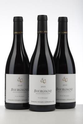 BOURGOGNE ROUGE 2019 - Sylvain Cathiard - 3 Bottles