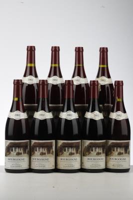BOURGOGNE ROUGE 2002 - Gerard Raphet - 9 Bottles