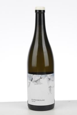 BOURGOGNE BLANC AGANIPPE 2021 - Les Horees - 1 Bottle