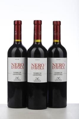 NERO D'AVOLA TERRE GINESTRA 2008 - Cantine Calastri - 3 Bottles