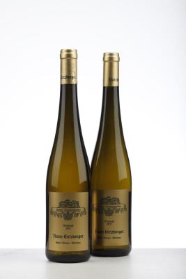 HIRTZBERGER PLURIS SMARAGD GRAUBURGUNDER 2011 - Franz Hirtzberger - 2 Bottles