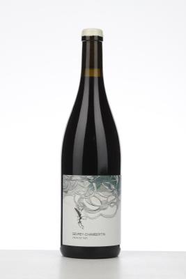GEVREY CHAMBERTIN J'ECRIS TON NOM 2023 - Les Horees - 1 Bottle