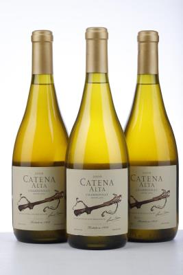 HIGH ALTITUDE LOTS CHARDONNAY 2009 - Catena Zapata - 3 Bottles