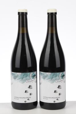 COTEAUX BOURGUIGNONS MON POULAIN 2020 - Les Horees - 2 Bottles