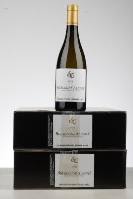BOURGOGNE ALIGOTE 2023 - Sylvain Cathiard - 12 Bottles - Oc 6