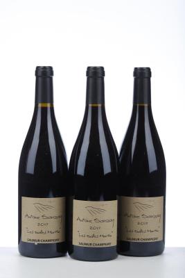 SAUMUR CHAMPIGNY LES SALLES MARTIN 2017 - Antoine Sanzay - 3 Bottles