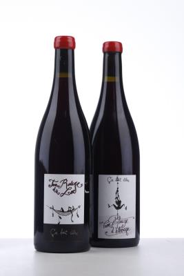MIXED LOT ROUGE SAVOIE 2021 - Rouge - Ca Boit Libre Damien Bastian Goddard - 2 Bottles
