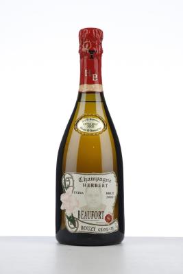 HERBERT BEAUFORT EXTRA BRUT 2002 - Herbert Beaufort - 1 Bottle