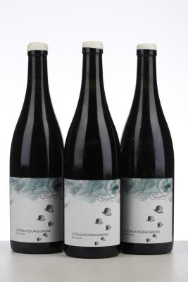 COTEAUX BOURGUIGNONS MON POULAIN 2021 - Les Horees - 3 Bottles