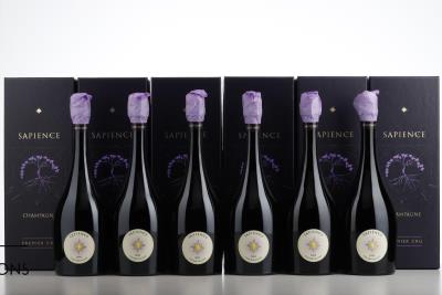 MARGUET SAPIENCE 1 ER CRU 2009 - Benoit Marguet - 6 Bottles - Oc 1
