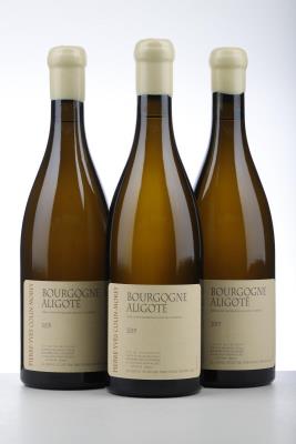 BOURGOGNE ALIGOTE 2019 - Pierre Yves Colin Morey - 3 Bottles
