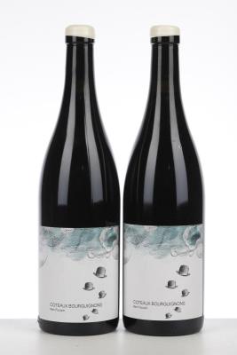 COTEAUX BOURGUIGNONS MON POULAIN 2020 - Les Horees - 2 Bottles
