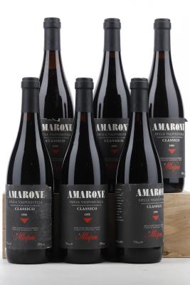 AMARONE DELLA VALPOLICELLA CLASSICO 1995 - Allegrini - 6 Bottles
