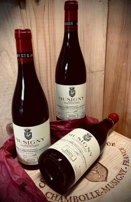 Best Wine Auctions