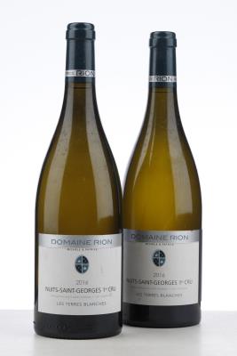 NUITS ST GEORGES BLANC LES TERRES BLANCHES 2016 - Patrice Rion - 2 Bottles