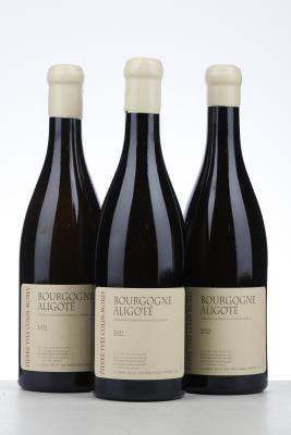 BOURGOGNE ALIGOTE 2022 - Pierre Yves Colin Morey - 3 Bottles