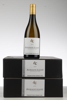 BOURGOGNE ALIGOTE 2024 - Sylvain Cathiard - 12 Bottles - Oc 6