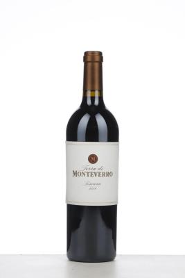 TERRA DI MONTEVERRO 2009 - Monteverro - 1 Bottle