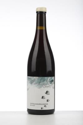 COTEAUX BOURGUIGNONS MON POULAIN 2022 - Les Horees - 1 Bottle