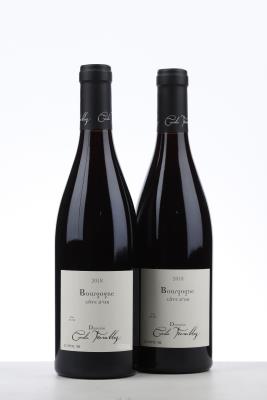 BOURGOGNE ROUGE COTE D'OR 2018 - Cecile Tremblay - 2 Bottles