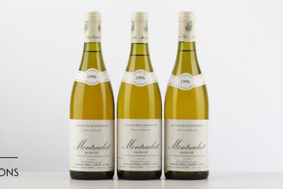 MONTRACHET 1996 - Marc Colin - 3 Bottles