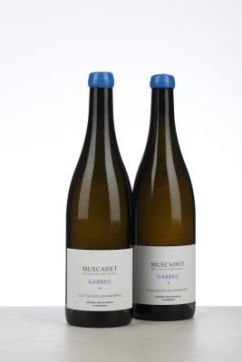 MUSCADET GABBRO CLOS DES BOUQUINARDIERES 2020 - Domaine de Bellevue - Jerome Bretaudeau - 2 Bottles