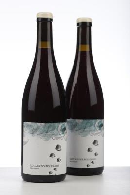 COTEAUX BOURGUIGNONS MON POULAIN 2022 - Les Horees - 2 Bottles