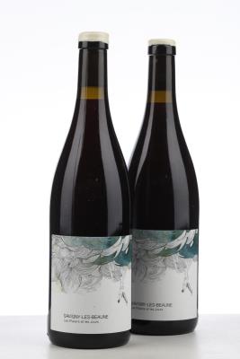 SAVIGNY LES BEAUNE LES PLAISIRS ET LES JOURS 2022 - Les Horees - 2 Bottles