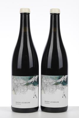 SAVIGNY LES BEAUNE LES VERMOTS 2021 - Les Horees - 2 Bottles