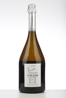 DE SOUSA & FILS GRAND CRU BLANCS DE BLANCS 2009 - De Sousa - 1 Magnum