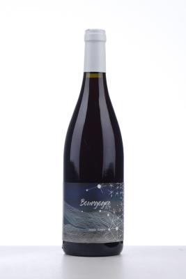 BOURGOGNE ROUGE CUVEE LONGUE 2019 - David Didon - 1 Bottle