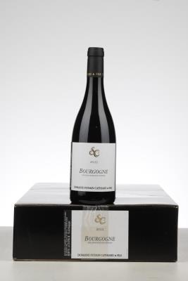 BOURGOGNE ROUGE 2022 - Sylvain Cathiard - 6 Bottles - Oc 6