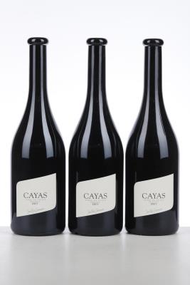 SYRAH DU VALAIS RESERVE CAYAS 2021 - Jean Rene Germanier - 3 Bottles