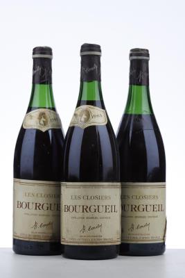 BOURGUEIL LES CLOSIERS 1983 - Couly Dutheil - 3 Bottles