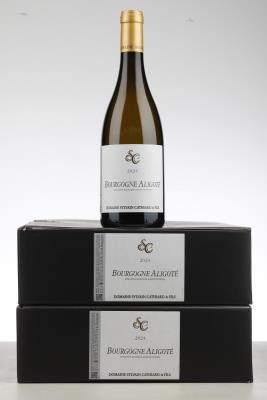 BOURGOGNE ALIGOTE 2024 - Sylvain Cathiard - 12 Bottles - Oc 6