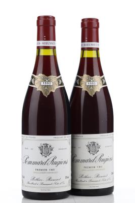 POMMARD RUGIENS 1992 - Pothier Rieusset - 2 Bottles