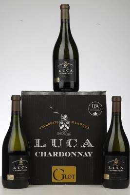 LUCA CHARDONNAY 2019 - Laura Catena - 9 Bottles