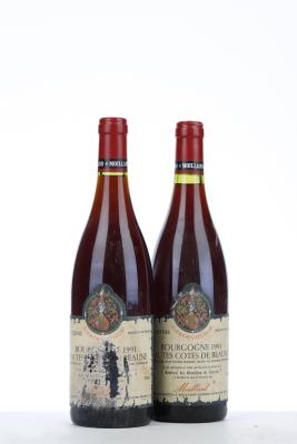 BOURGOGNE HAUTES COTES DE BEAUNE 1991 - Moillard - 2 Bottles