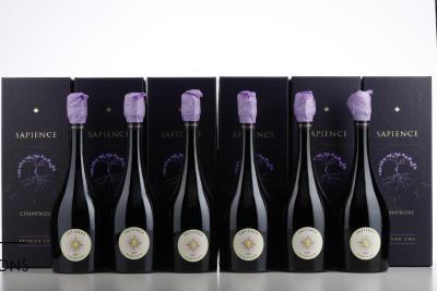 MARGUET SAPIENCE 1 ER CRU 2009 - Benoit Marguet - 6 Bottles - Oc 1