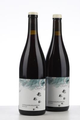 COTEAUX BOURGUIGNONS MON POULAIN 2022 - Les Horees - 2 Bottles