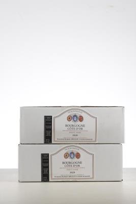 BOURGOGNE COTE D'OR 2020 - Robert Sirugue - 12 Bottles - Oc 6