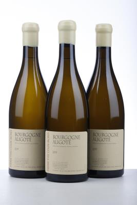 BOURGOGNE ALIGOTE 2019 - Pierre Yves Colin Morey - 3 Bottles