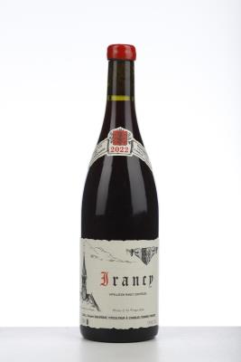 IRANCY 2022 - Vincent Dauvissat - 1 Bottle
