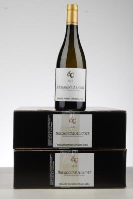 BOURGOGNE ALIGOTE 2023 - Sylvain Cathiard - 12 Bottles - Oc 6