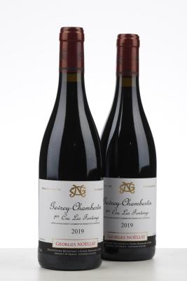 GEVREY CHAMBERTIN LES FONTENYS 2019 - Georges Noellat - 2 Bottles