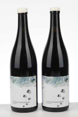 COTEAUX BOURGUIGNONS MON POULAIN 2021 - Les Horees - 2 Bottles
