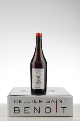 ARBOIS PUPILLIN PLOUSSARD VIANDRIS 2023 - Cellier Saint Benoit - 6 Bottles - Oc 6