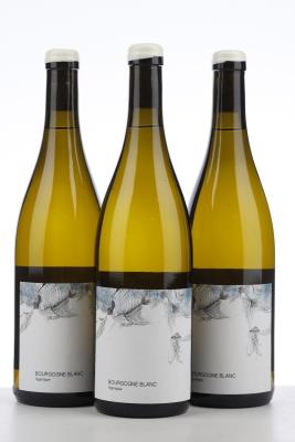 BOURGOGNE BLANC AGANIPPE 2023 - Les Horees - 3 Bottles